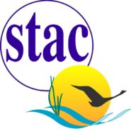 STAC News